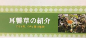 耳のお悩みに